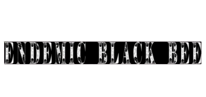 Endemic Black Bee